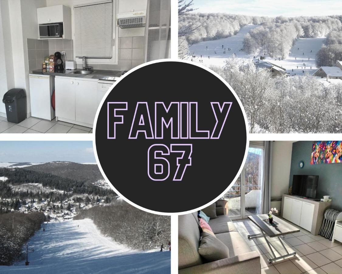 T2 Avec Piscine-Le Family 67 Pierrefiche (Aveyron) Exterior foto